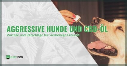 Aggressive Hunde und CBD-Öl