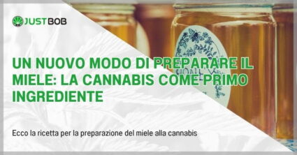 Un nuovo modo di preparare il miele: la cannabis come primo ingrediente