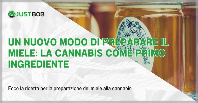 Un nuovo modo di preparare il miele: la cannabis come primo ingrediente